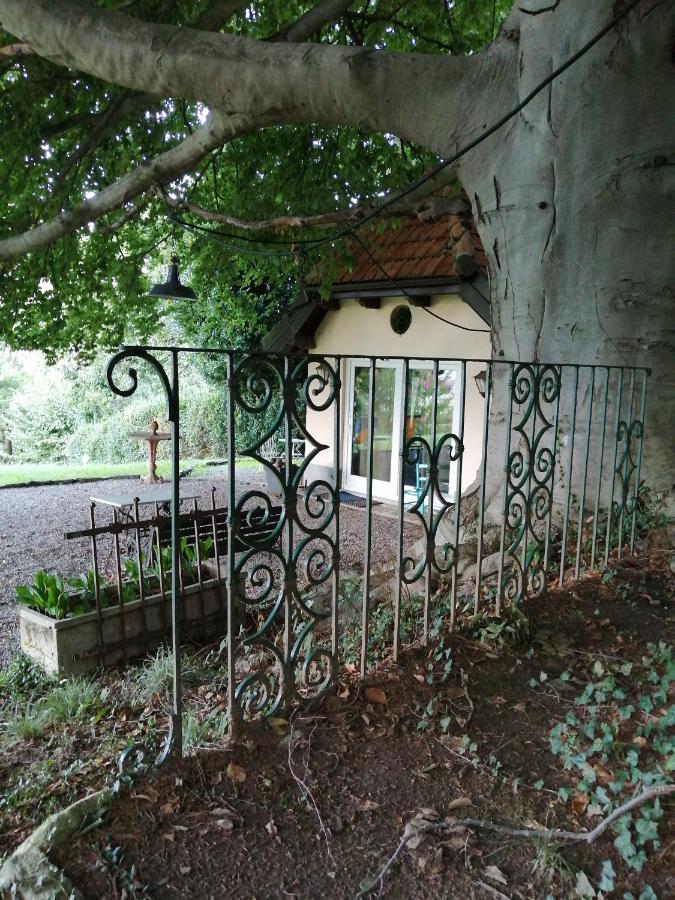 Cottage Sotto Il Faggio Centenario Ameno Exterior foto