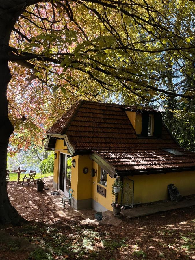Cottage Sotto Il Faggio Centenario Ameno Exterior foto